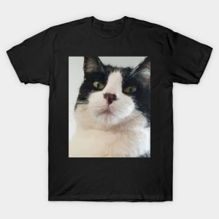 Prince Zack the good boy T-Shirt